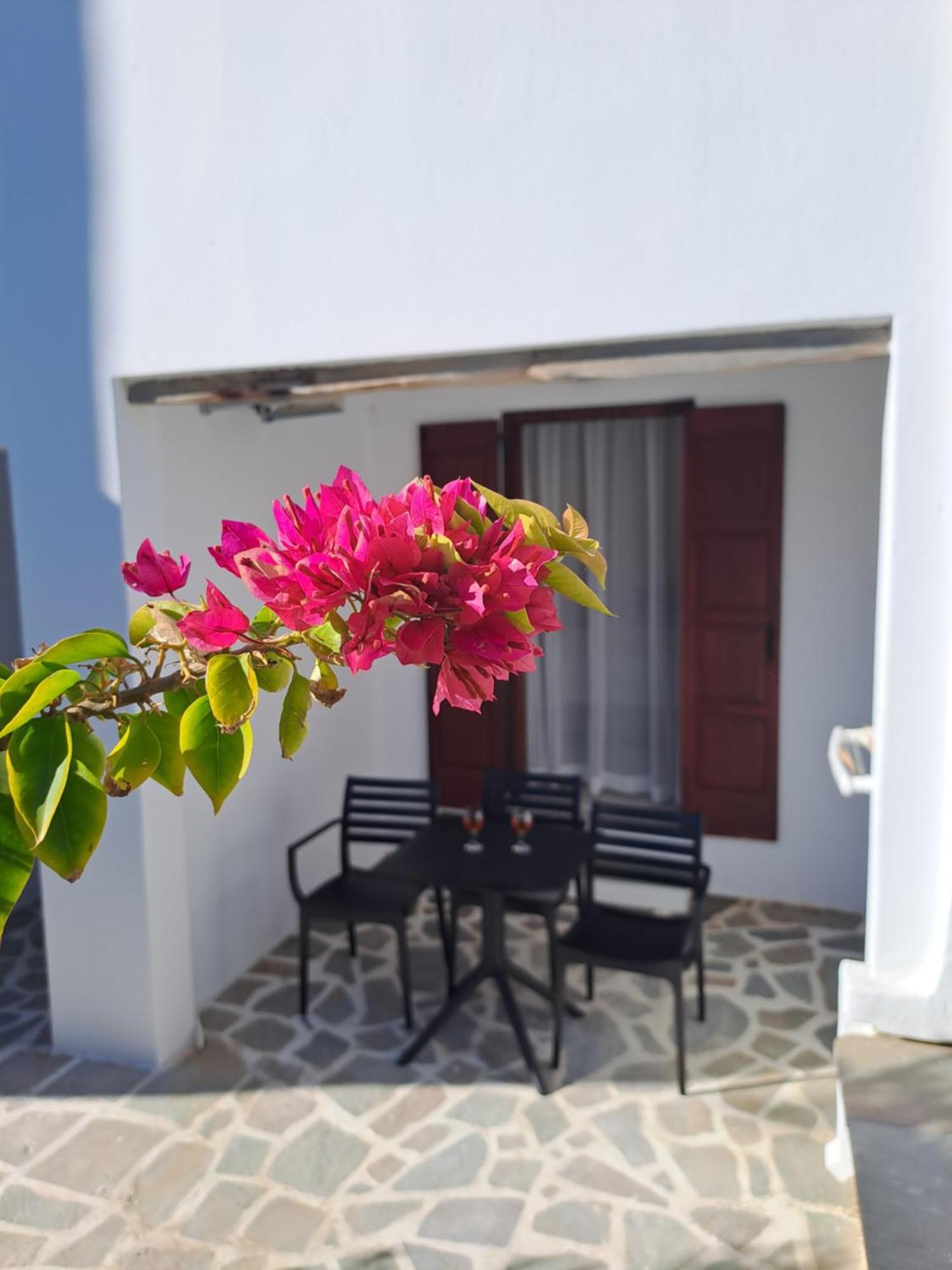 Anemomilos Beach Hotel Agia Anna  Exterior foto